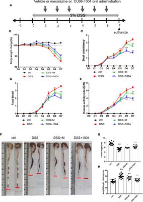 CU06-1004 Alleviates Experimental Colitis by Modulating Colonic Vessel Dysfunction